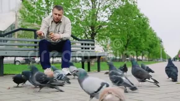 在公园里喂鸽子的中年人视频的预览图