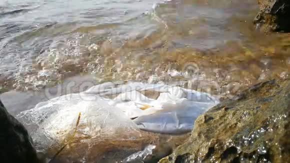 白色塑料袋在靠近海岸的浅水中移动海洋垃圾的概念视频的预览图