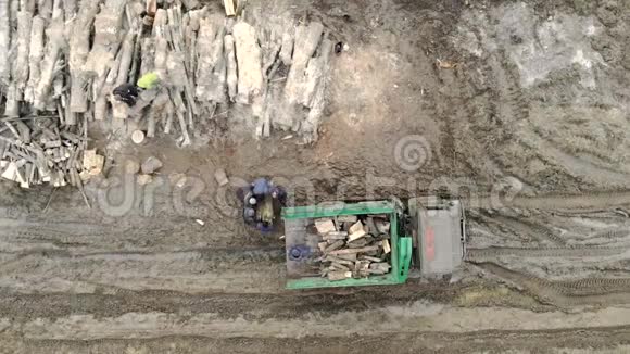 一群工人在卡车上装载木材砍伐森林在汽车上装载木材视频的预览图