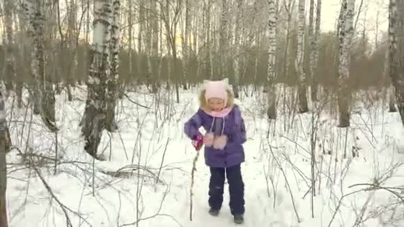 小女孩用棍子穿过桦树林小女孩开玩笑在冬天的森林里下雪视频的预览图