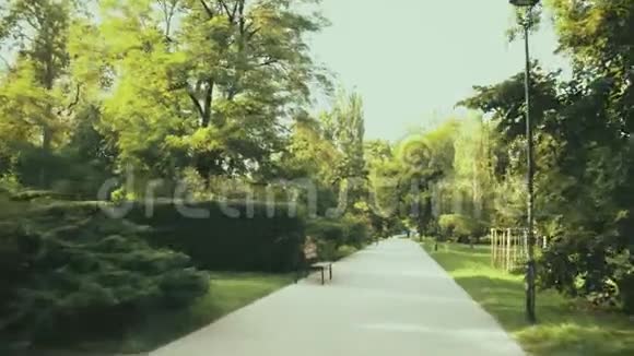 夏季沿公园通道乘坐POV视频的预览图