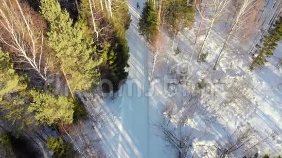 股票视频滑雪者骑着滑雪穿过树林从上面看空中摄影冬日阳光明媚视频的预览图