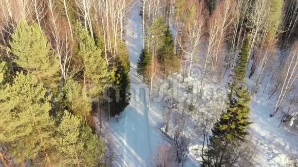 股票视频滑雪者骑着滑雪穿过树林从上面看空中摄影冬日阳光明媚视频的预览图