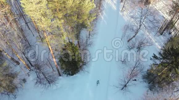 股票视频滑雪者骑着滑雪穿过树林从上面看空中摄影冬日阳光明媚视频的预览图