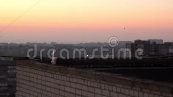 在屋顶日出的背景下飞翔的鸟视频的预览图