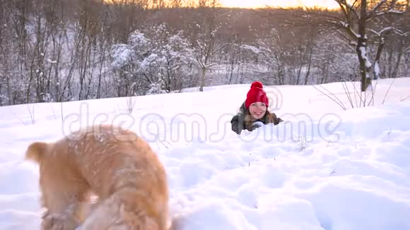 狗要跑到她的主人在雪林视频的预览图