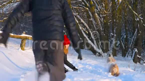 冬天森林里玩狗的快乐夫妻视频的预览图