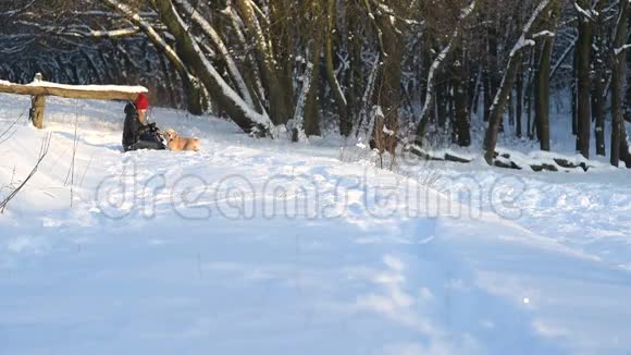 冬季白色景色与一个女孩和狗的距离视频的预览图