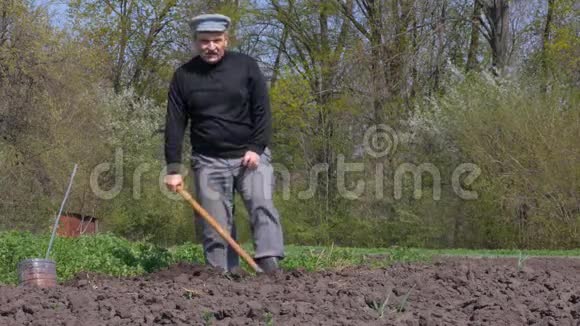 人在花园里挖地在棺材里种土豆的人视频的预览图