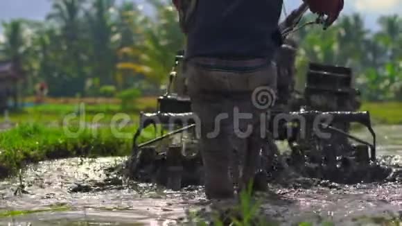 种植水稻前耕种田地的农民的最高镜头田野里满是泥水视频的预览图