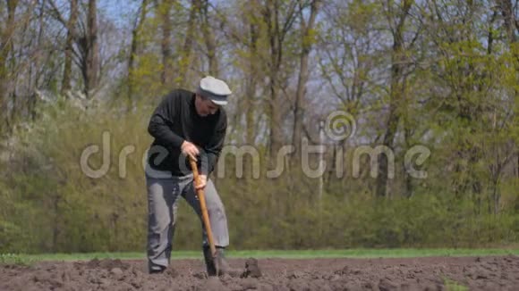 人在花园里挖地在棺材里种土豆的人视频的预览图