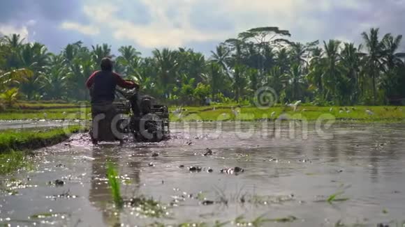 种植水稻前耕种田地的农民的最高镜头田野里满是泥水视频的预览图