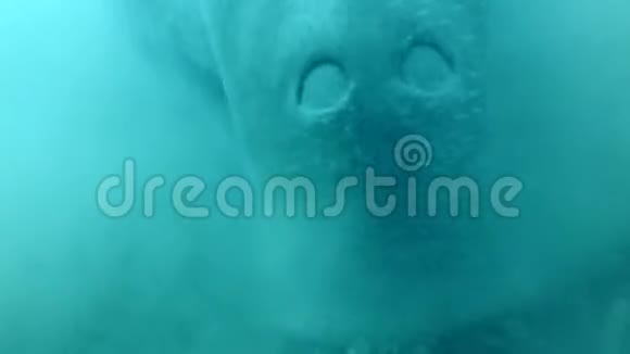 海牛肖像杜贡杜贡谁贪婪地吃海草在底部升起淤泥云水下射击特写视频的预览图