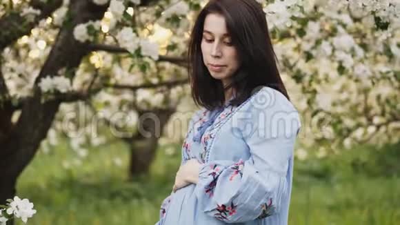 一位孕妇正在苹果园里休息视频的预览图