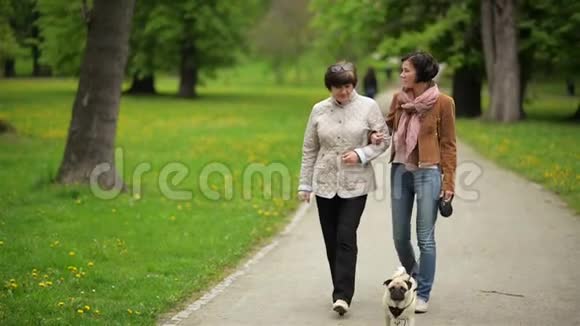 年轻的布鲁内特短发和美丽的女人正在公园里和狗散步春天和宠物一起散步视频的预览图