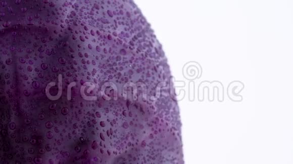 用水滴对一整个迷你紫甘蓝的侧面部分进行宏观拍摄在隔离的转盘上慢慢旋转视频的预览图