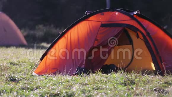 在雾蒙蒙的早晨在秋天的一片青松林中一片绿草上的红色帐篷秋周末森林徒步旅行带帐篷视频的预览图