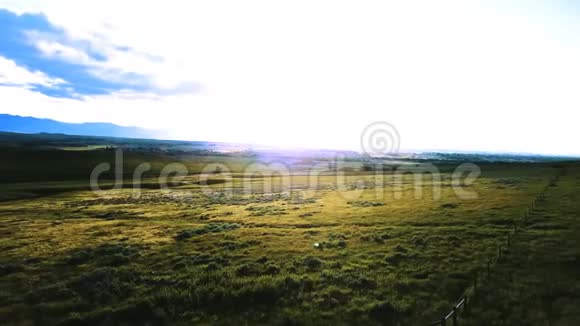 在壮丽的和平草原之上左转绿色的平原草原景观与惊人的蓝色阳光天空视频的预览图