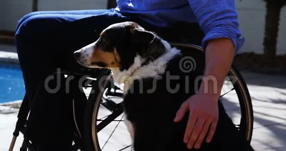 残疾人抚摸他的狗4K视频的预览图