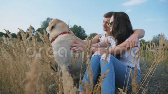 年轻夫妇坐在草地上抚摸他的拉布拉多犬家人和他的宠物在一起视频的预览图