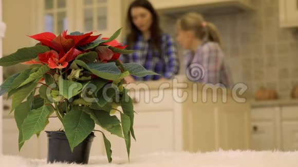 两个女朋友在圣诞花的背景下在厨房交谈视频的预览图