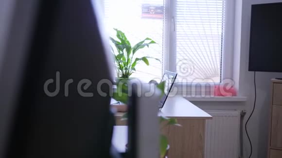 在互联网上工作年轻妇女在靠近窗户和室内植物的工作中带笔记本电脑视频的预览图