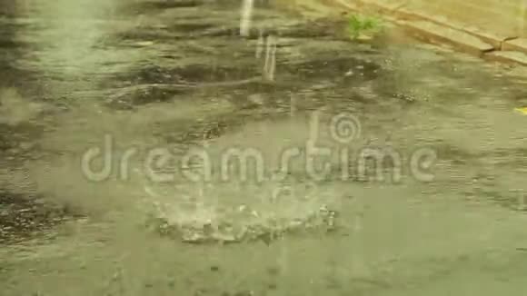 大滴雨落在沥青路上视频的预览图