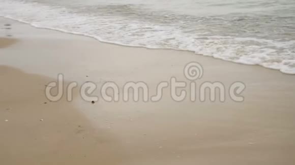 海边沙滩景色中的海浪视频的预览图