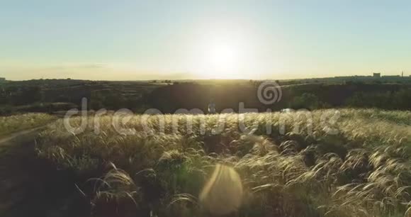 日落时分女孩在美丽的草地上沉思视频的预览图