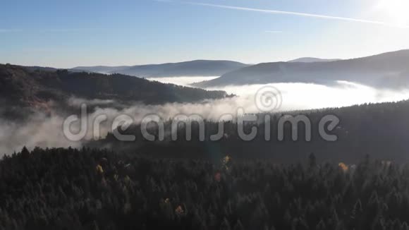 喀尔巴阡山脉令人惊叹的秋季景观晨雾笼罩山谷山坡上的针叶林视频的预览图