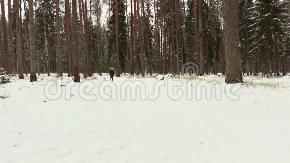 冬天森林里的快乐女孩视频的预览图