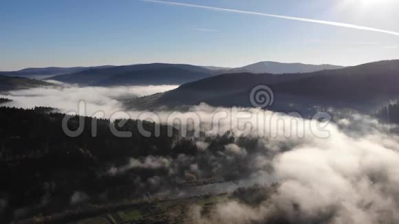 喀尔巴阡山脉令人惊叹的秋季景观晨雾笼罩山谷山坡上的针叶林视频的预览图