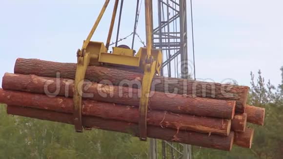 吊车搬运的一堆原木特写一堆原木悬浮在空中用挖掘机捕捉森林视频的预览图