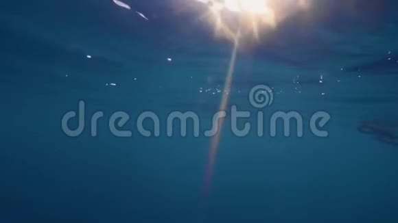 在水下观看金色的阳光透过蓝色的海水照耀明亮的阳光洒在海洋水面上透明蓝色视频的预览图