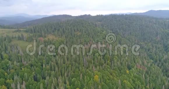 鸟瞰飞越喀尔巴阡山脉的针叶林上空视频的预览图