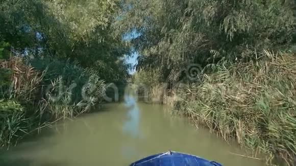 在乌克兰维尔科夫市多瑙河三角洲狭窄航道上航行的蓝色摩托艇视频的预览图