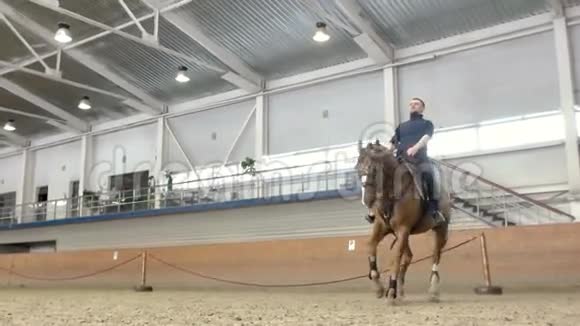 年轻人和他美丽的棕色种马长大一匹棕色的马站在它的后面骑马的骑士视频的预览图