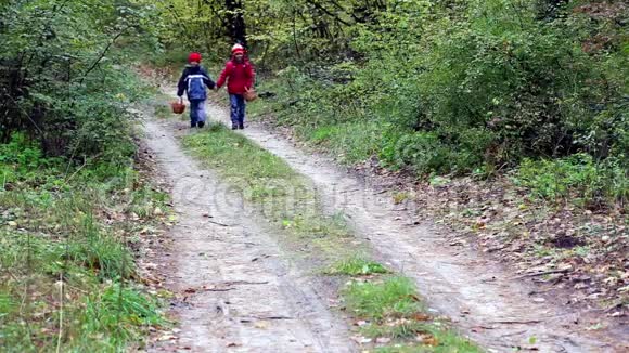 孩子们在树林里散步视频的预览图