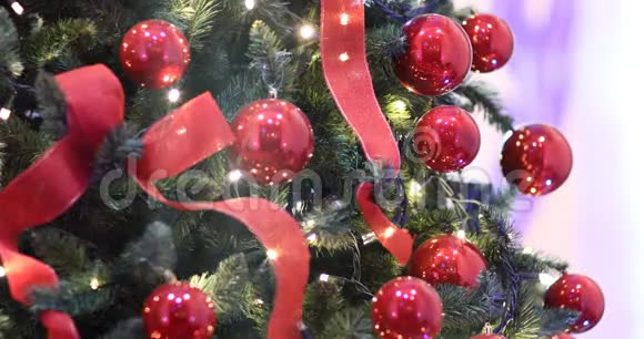 圣诞灯装饰彩带和圣诞树视频的预览图