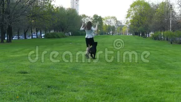 小女孩在公园里和一只狗玩视频的预览图