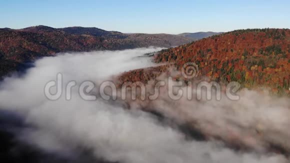 神奇而多彩的秋天在喀尔巴阡山乌克兰秋天的薄雾视频的预览图