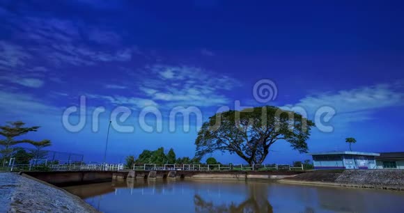 马来西亚Kedah河边美丽的树木和蓝天视频的预览图