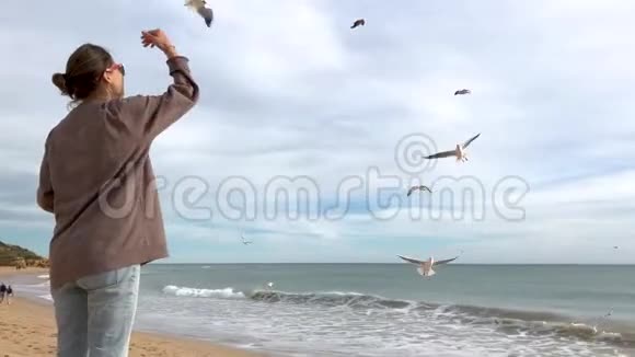 小女孩在海滩上喂海鸥视频的预览图