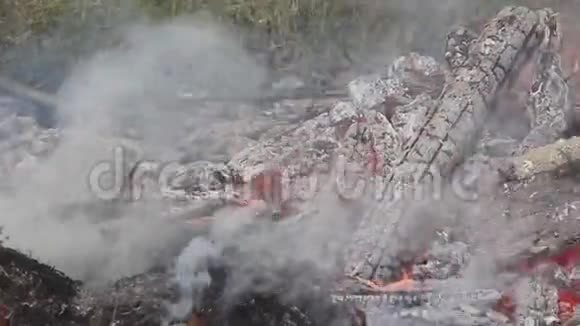 大火和大火产生的烟雾特写全景全景视频的预览图