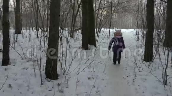 奔跑的少女在冬林中度过快乐的闲暇时光视频的预览图