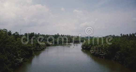 美丽的空中景色宽阔的河流在热带绿色灌木丛中流动荒野地景视频的预览图