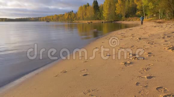 一个人在沙滩上沿着湖边奔跑黎明的清晨他运动过着健康的生活方式视频的预览图
