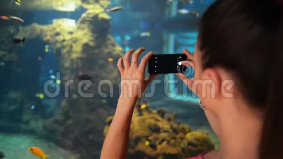 小女孩正在水族馆拍照她拿着手机拍照视频的预览图