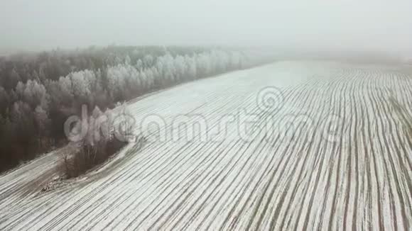 雪中的春田空中观景早春视频的预览图