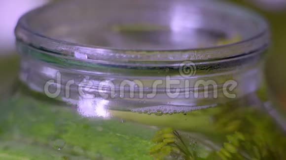 宏观空气气泡上升到玻璃罐与黄瓜保存视频的预览图